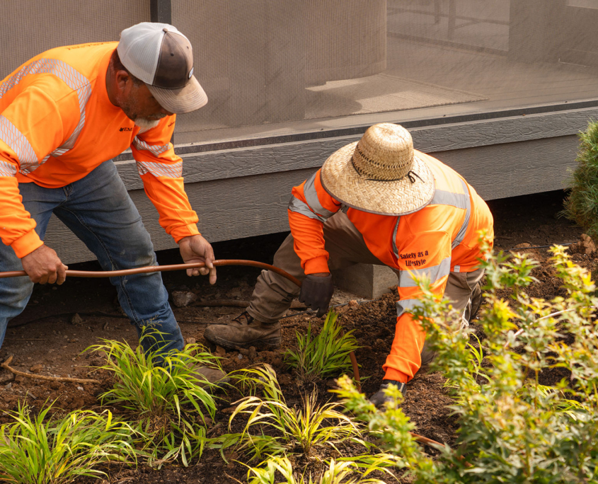 CBE-Two men at work landscaping Cbe Two Men At Work Landscaping