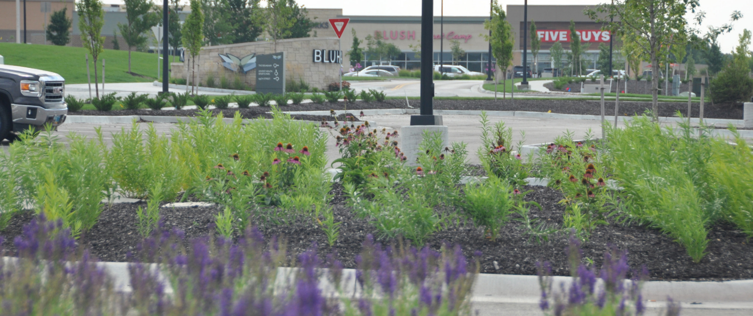 Commercial Bluhawk Entrance With Strip Mall In Background
