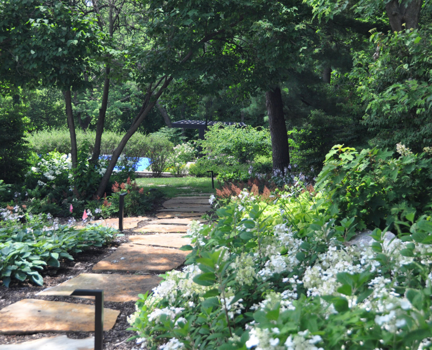 Estate Habbiger Flowers Along Path