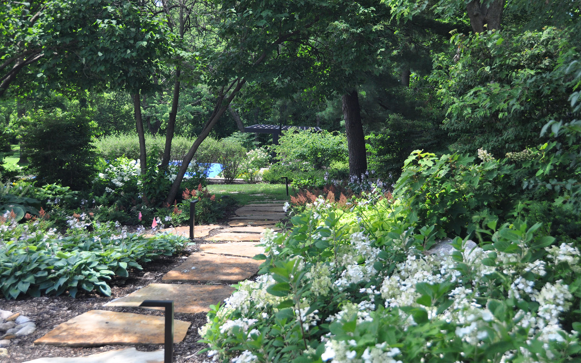 Estate Habbiger Flowers Along Path