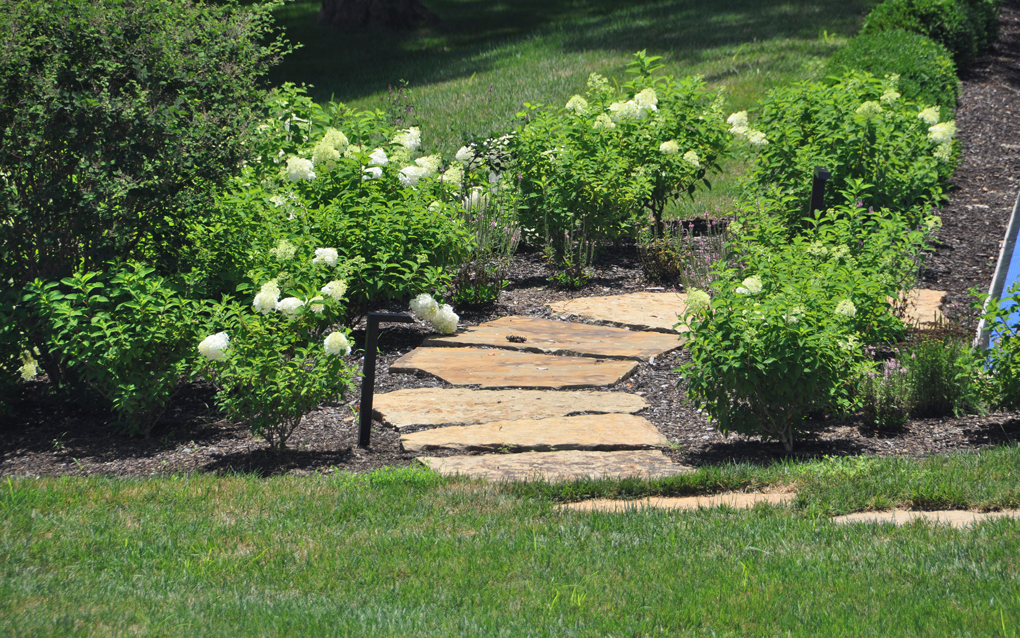 Estate Habbiger Paver Path