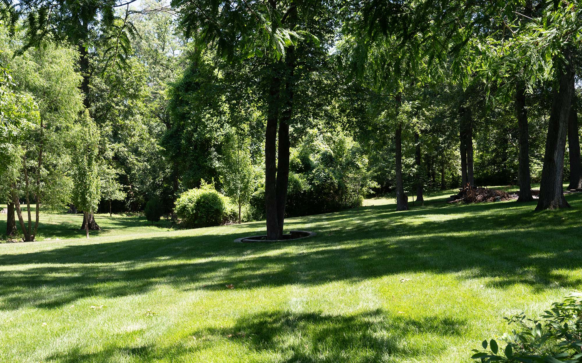 Estate Smith Schoal Creek Manicured Lawn