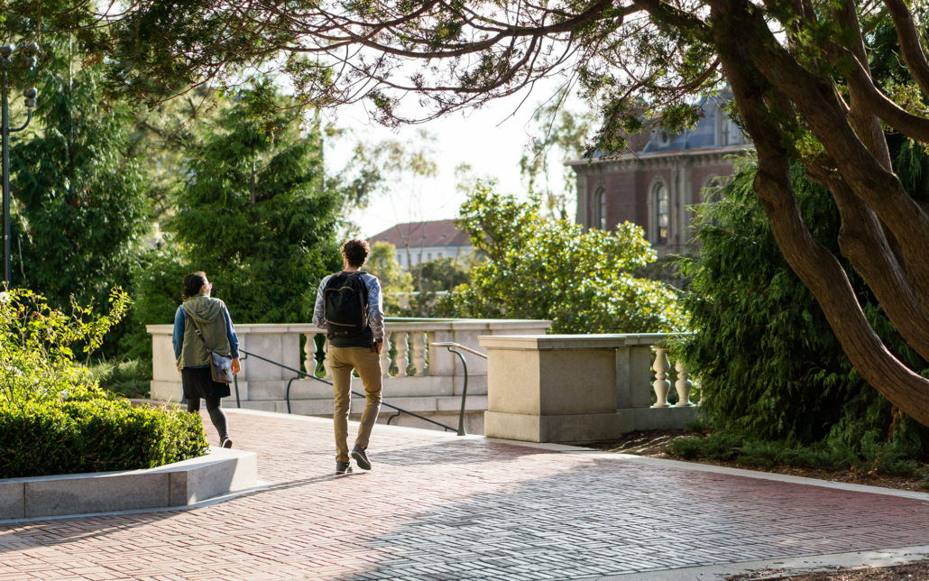 Male And Female Students Walking On Campus In Gold Light With Trees